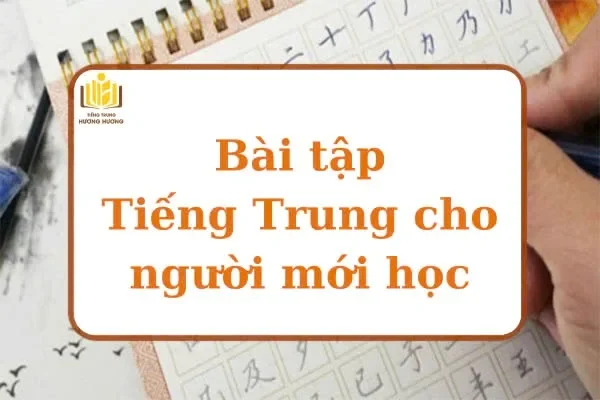 Bài Tập Tiếng Trung Cho Người Mới Bắt Đầu: Học Hiệu Quả Từ Cơ Bản Đến Nâng Cao